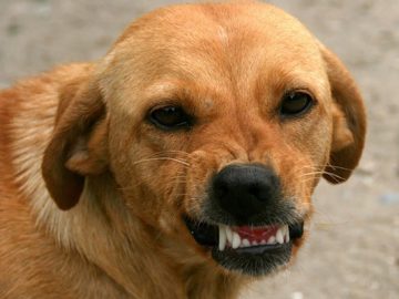 ЗРОСТАННЯ ВИПАДКІВ СКАЗУ ФІКСУЮТЬ НА ВІННИЧЧИНІ